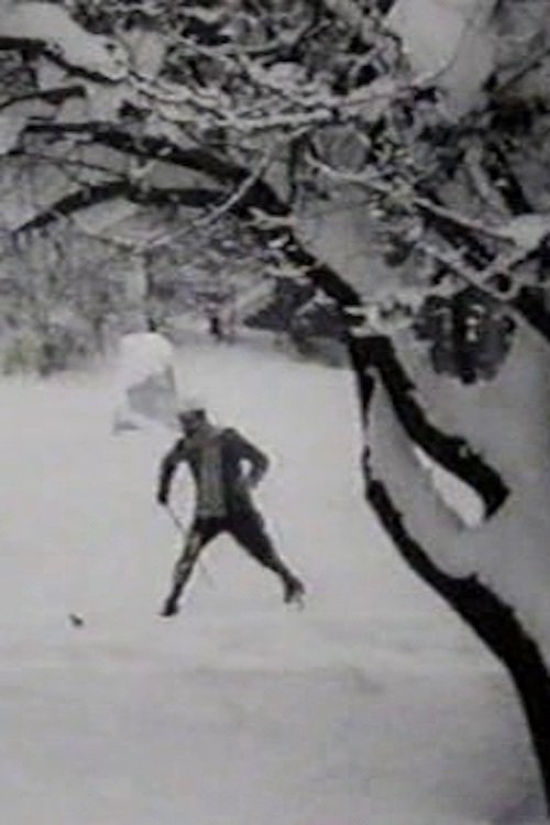 Max Skiing poster