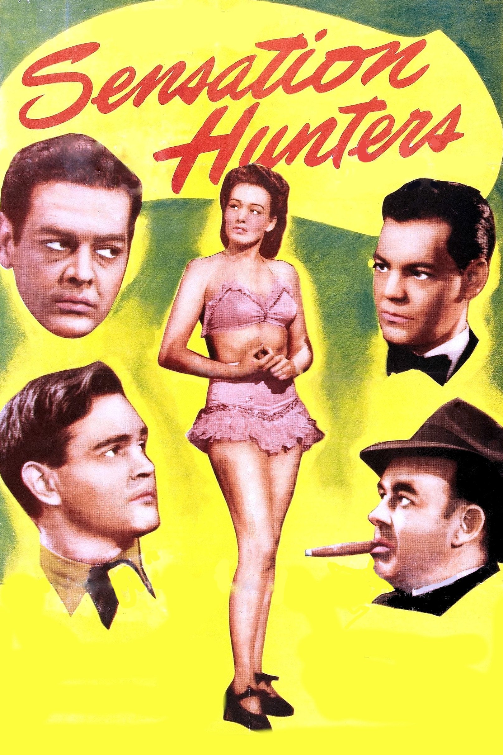 Sensation Hunters poster