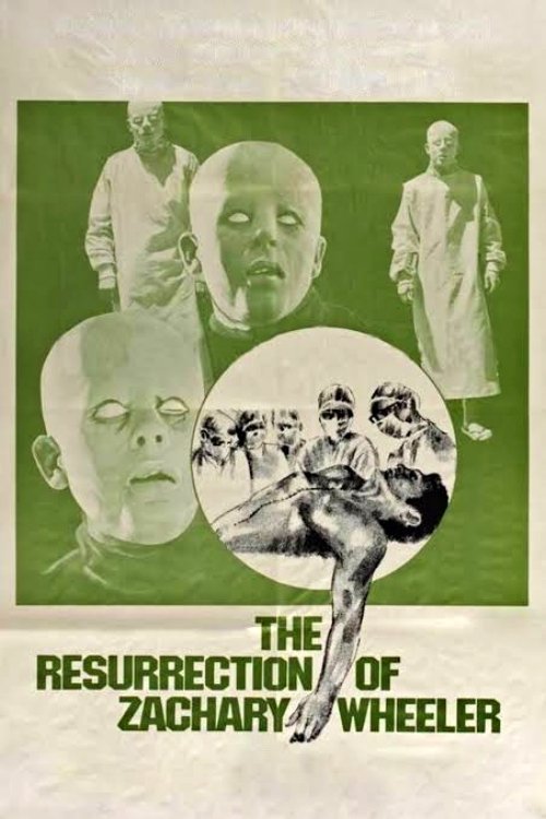 The Resurrection of Zachary Wheeler poster